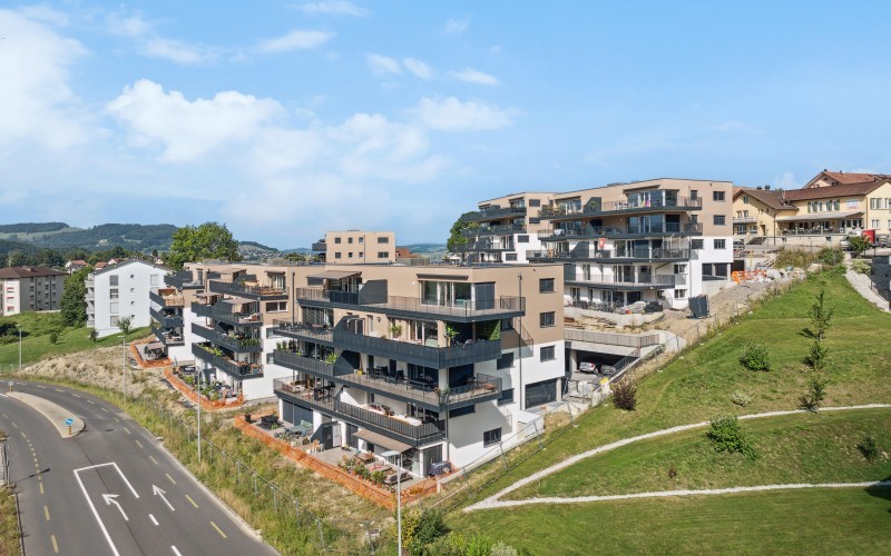 LA COLLINE